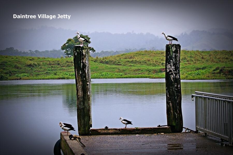 Egrets Rest Villa Daintree Exterior photo